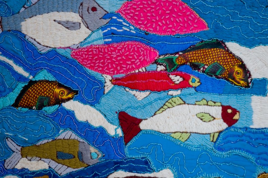 Fish and water representing the Keiskamma River in the second layer