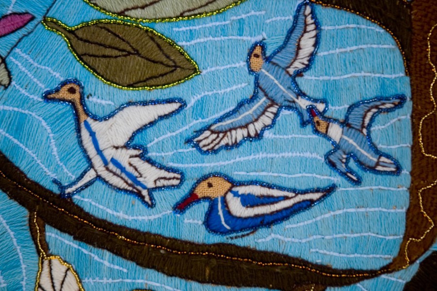 Avian Life and the Coastal Fig