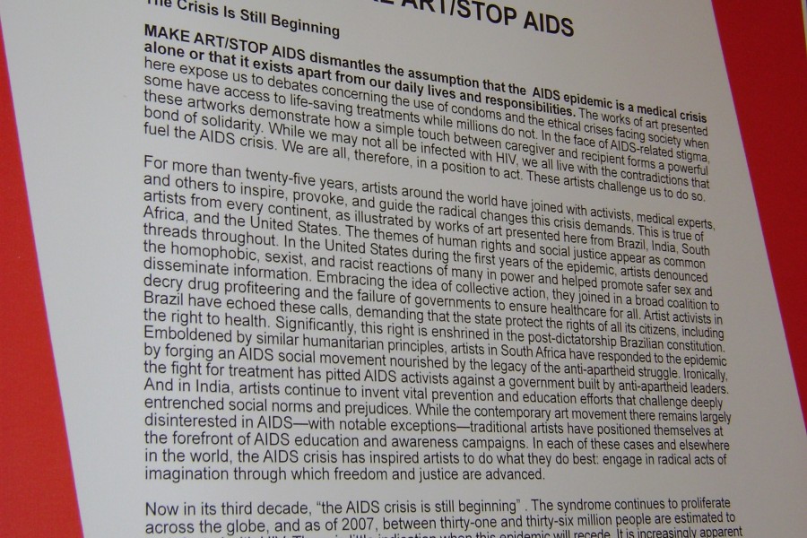 Not Alone: MAKE ART/STOP AIDS Description