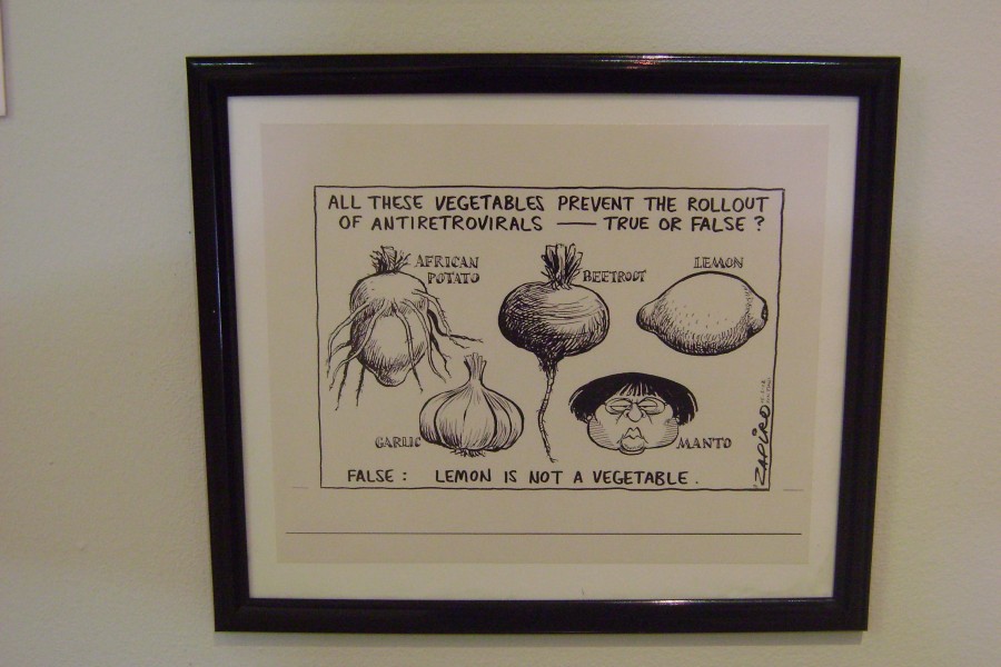 Political Cartoon by Zapiro