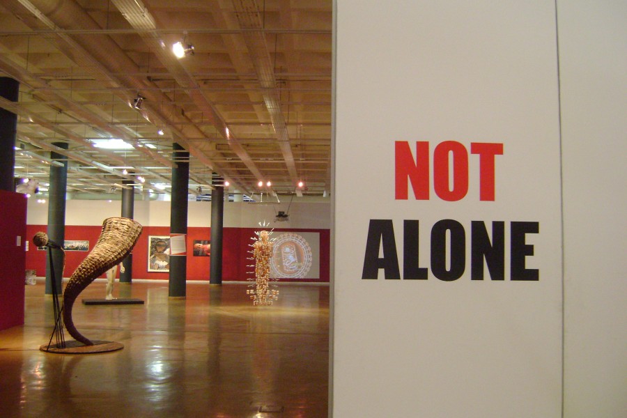 Title wall and gallery for *Not Alone* at Museum Africa