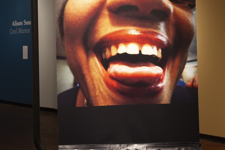 Photograph by Cida displayed above an iPad playing a video about her