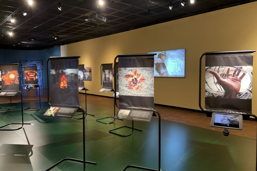 Row of photographs by Through Positive Eyes artivists in the gallery